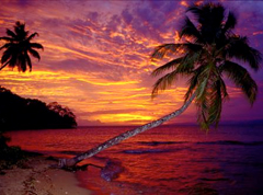 Fiji dubbed jewel of the pacific